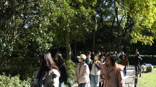 DSC09420.1.jpg